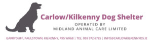 Carlow-Kilkenny Dog Shelter