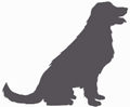 Midland Animal Care Logo